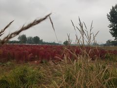 -汉长安城未央宫国家考古遗址公园