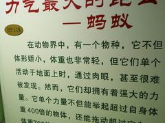 -上海昆虫博物馆