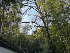 -杭州黄龙洞