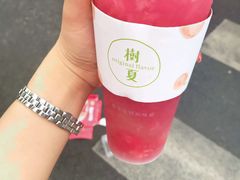 -树夏(建设路店)
