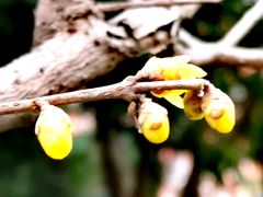 -神旺大酒店-停车场