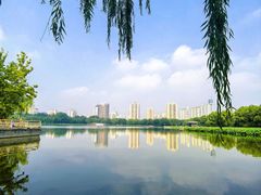 -莲花池公园