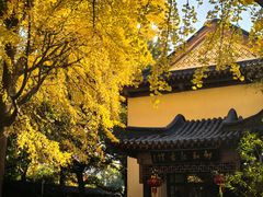 -郑和公园