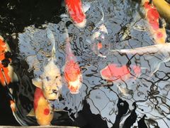-顺景温泉