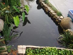 -万景饭店·鱼街农家菜