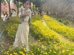 -天适樱花悠乐园