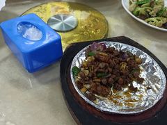 -金麒麟美食城
