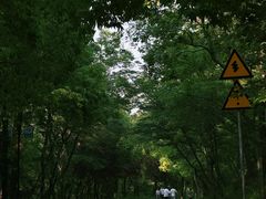 -虞山风景区