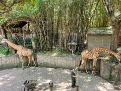 -长鹿旅游休博园