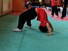 -武术世家少儿培训中心(首都体育学院店)