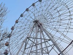 -西安浐灞国家湿地公园
