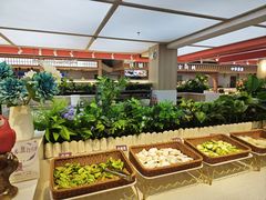 -豪食披萨烤肉自助(保定商场店)