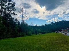 -五营红松林海景区