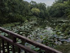 -颐和园