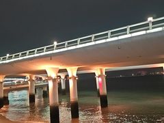 -演武大桥观景平台