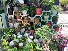 -FEI FEI FLOWER鲜花店·气球派对·宝宝宴布置(虹口德必运动Loft店)