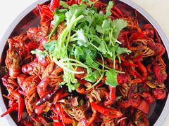 -五里多农博广场