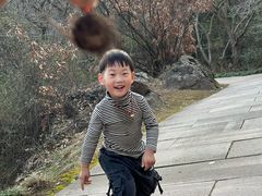 -杭州开元森泊度假乐园