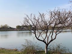-尚湖风景区