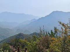 -大岭沟猕猴桃谷风景区