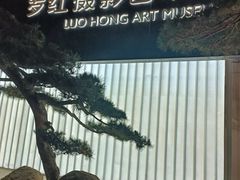 -罗红摄影艺术馆