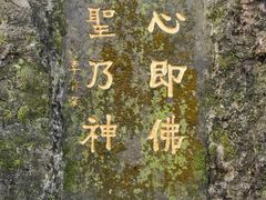 -峨眉山报国寺