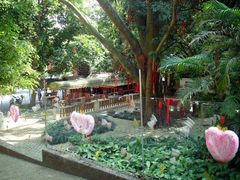 -南宁良凤江国家森林公园