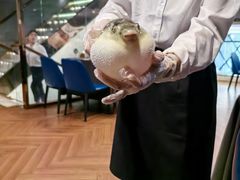 -肆月河豚·新淮扬(金融街店)
