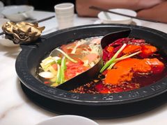 -孙毛肚火锅(春熙路店)
