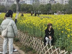 -九龙湖公园
