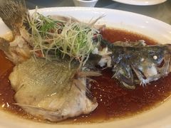 -明城五号烤鸭坊(建国门店)