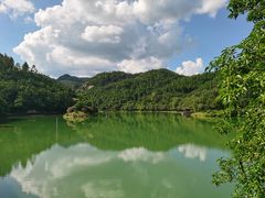 -广州白江湖森林公园