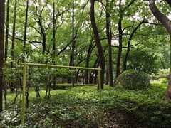-徐家汇源景区-衡山公园