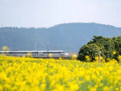 -光明小镇欢乐田园