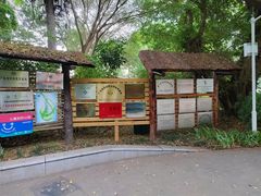 -华侨城湿地公园