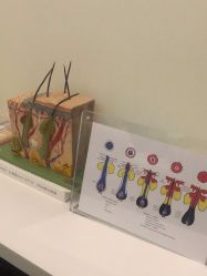 -史云逊养发护发