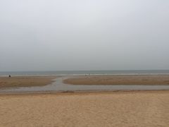 -日照海滨国家森林公园