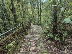 -云南屏边大围山国家公园