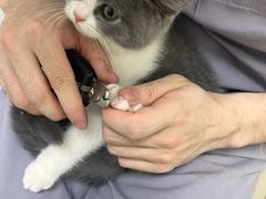 -达爱动物医院·犬猫分区·CT·复杂眼科(远洋山水分院)
