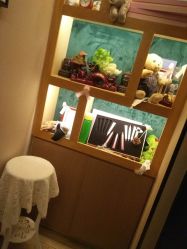 -PE SALON