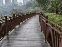 -重庆彩云湖湿地公园