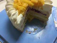 -维尔纳斯·生日蛋糕·动物奶油冰淇淋蛋糕(六里桥店)