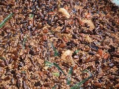 -胖子鱼·天水麻辣鱼火锅(秦州407店)