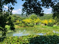 -龙寺生态园