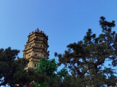 -船政文化景区-罗星塔公园
