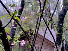 -天目湖御水温泉·度假酒店