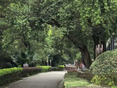 -融水老君洞景区