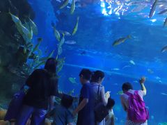 -华夏文旅海洋公园