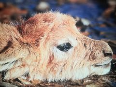 -中国湿地博物馆