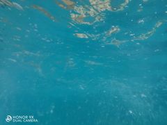 -重庆海昌加勒比海水世界